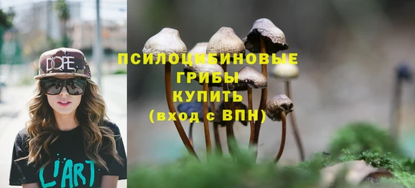 шишки Володарск